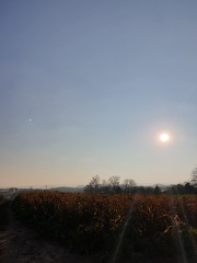 20201130 Novembersonne