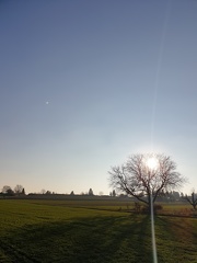 20201130 Ossweiler Hoehe Sonne