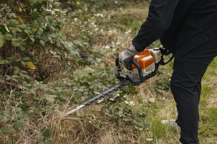 2025.10.15 Hundewiese Brombeeren schneiden 16