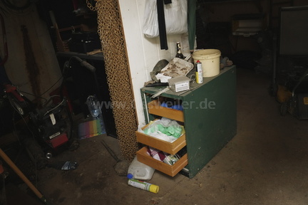 2025.10.15 Hundewiese Brombeeren schneiden 22