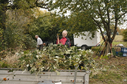 2025.10.15 Hundewiese Brombeeren schneiden 28