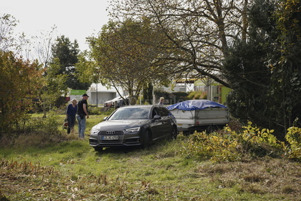 2025.10.15 Hundewiese Brombeeren schneiden 37