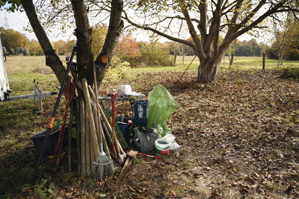 2025.10.15 Hundewiese Brombeeren schneiden 40