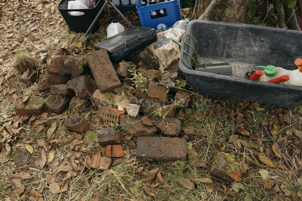 2025.10.15 Hundewiese Brombeeren schneiden 46